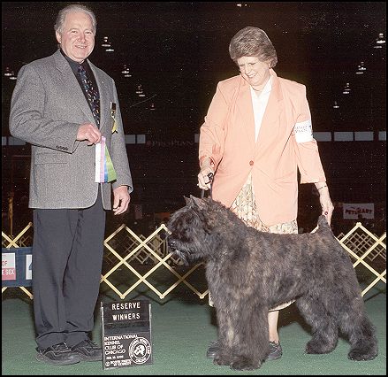 Arkie at 6 months, his first show