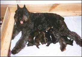 Brianna with her babies